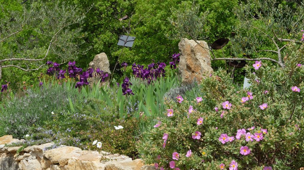 Les Hauts Des Materonnes Tourves 外观 照片